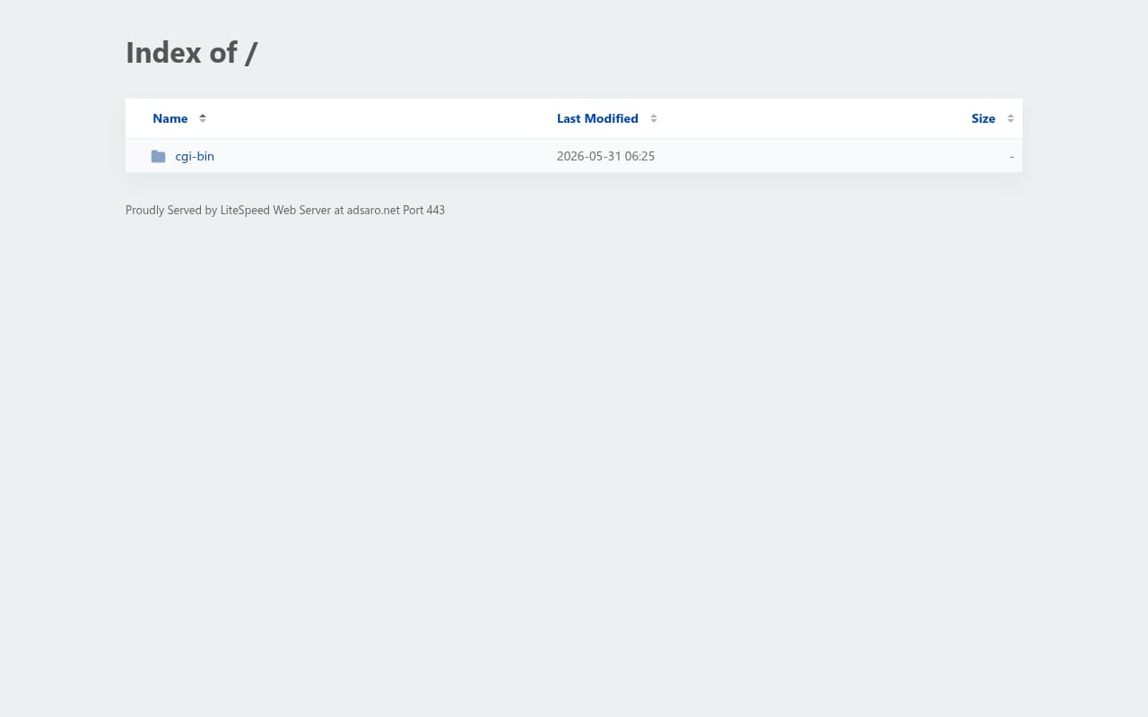Adsaro website screenshot