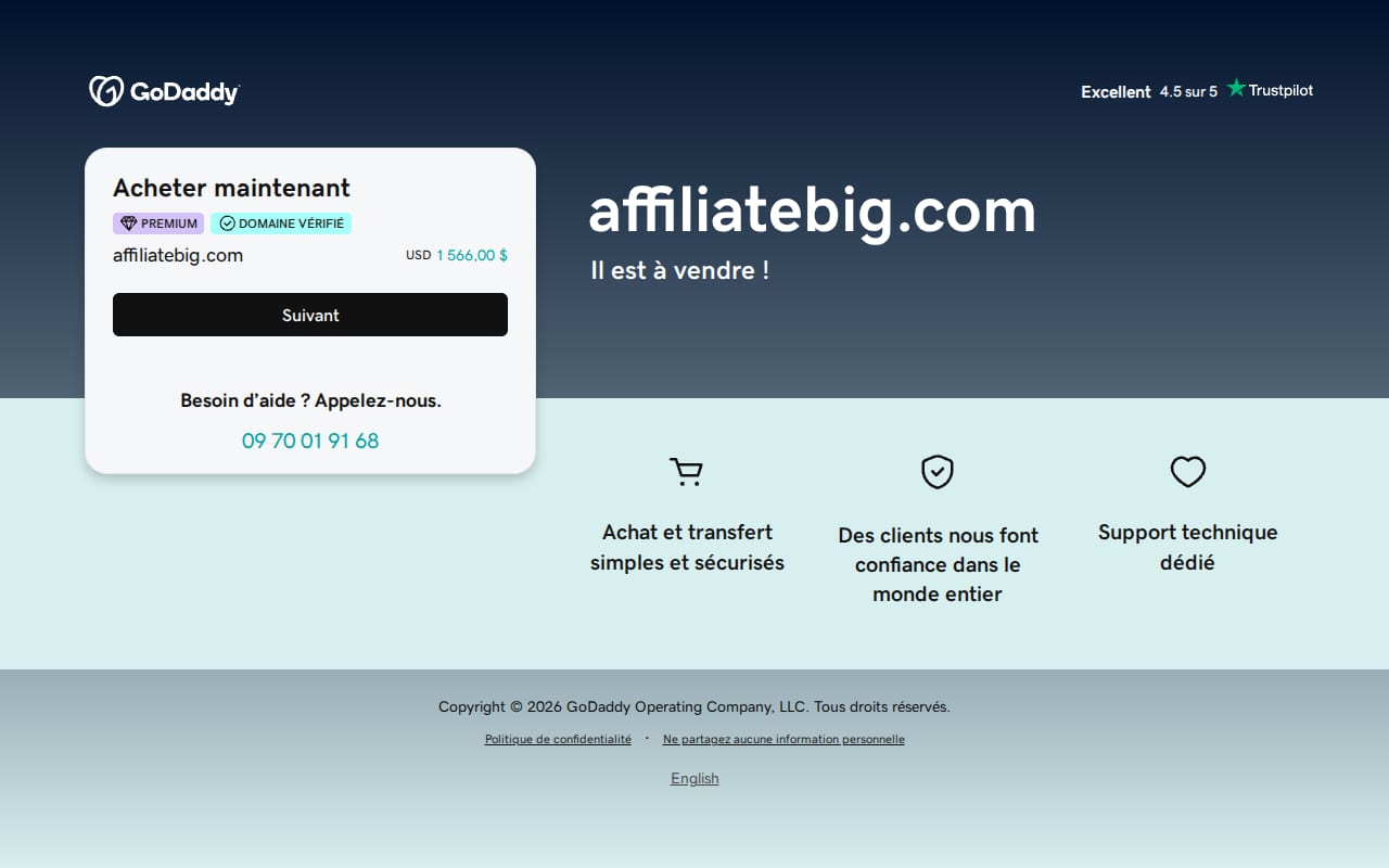 AffiliateBig website screenshot