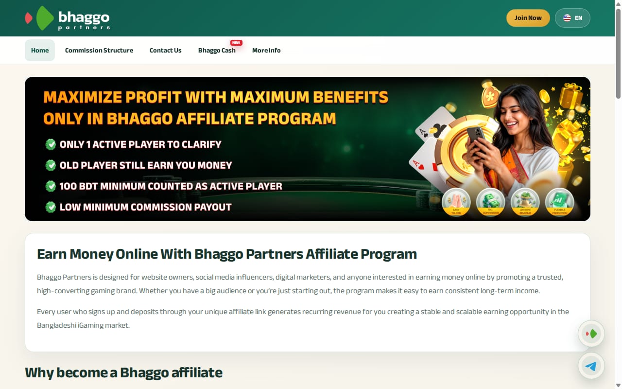 Bhaggo Partners 網站截圖