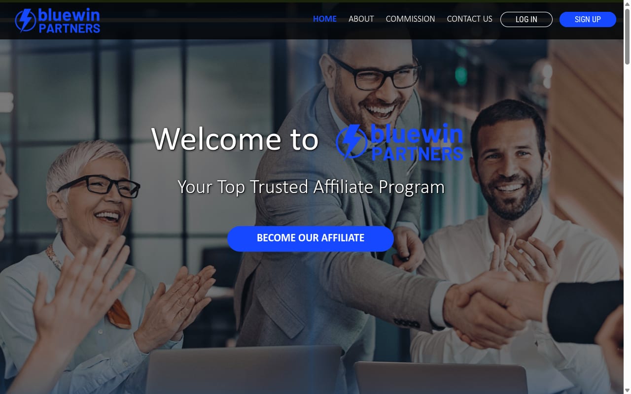 Bluewin Partners website screenshot