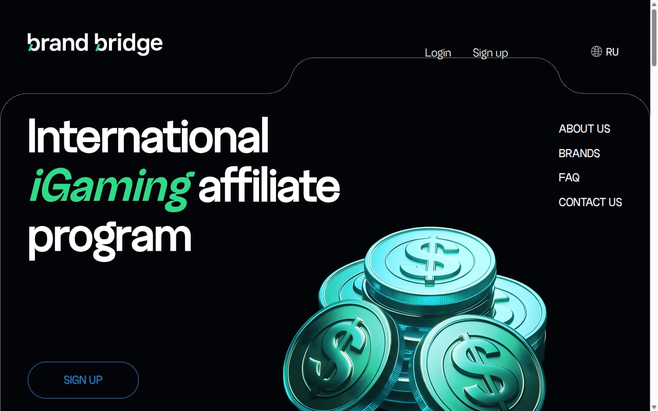 Brand Bridge website screenshot
