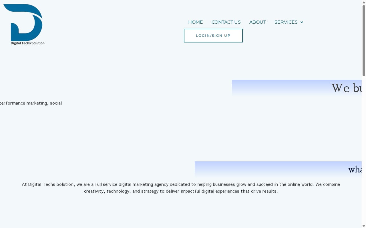 Digitaltechssolution website screenshot