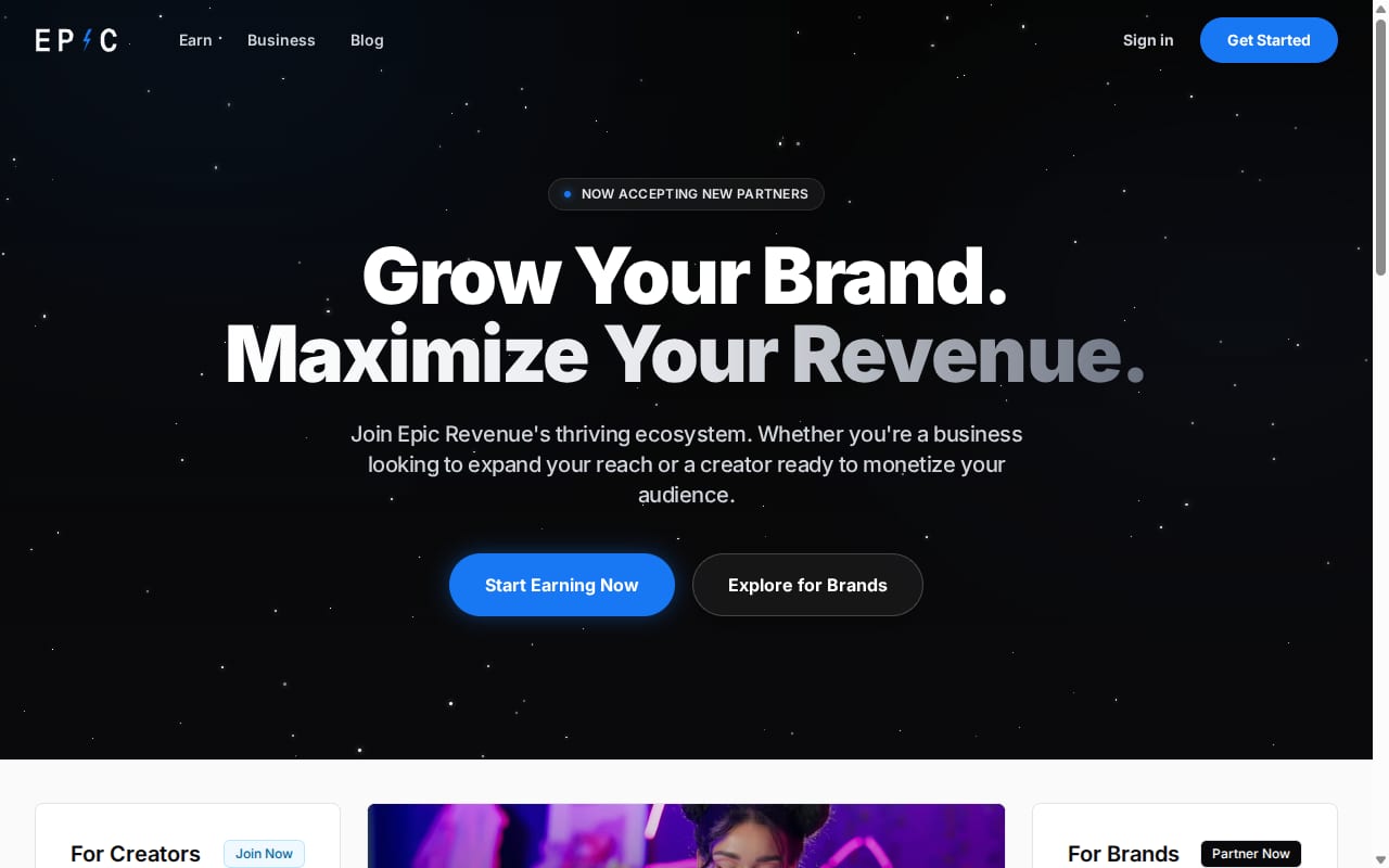 Epicrevenue 網站截圖