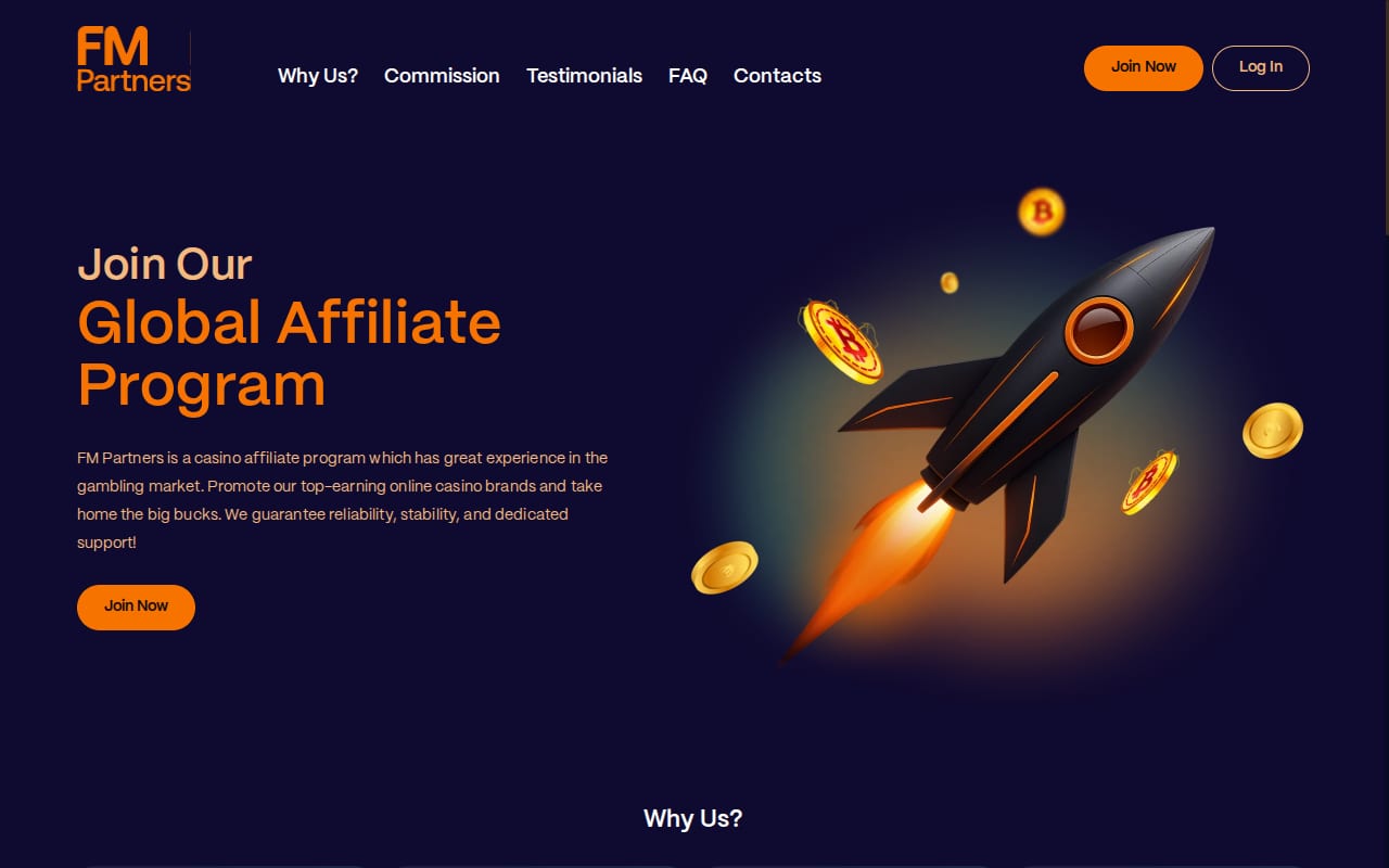 FM Partners website screenshot