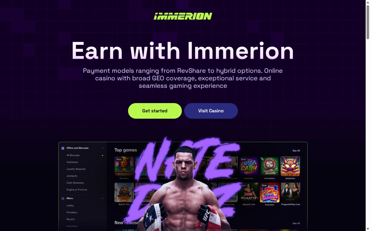 Immerion Partners website screenshot