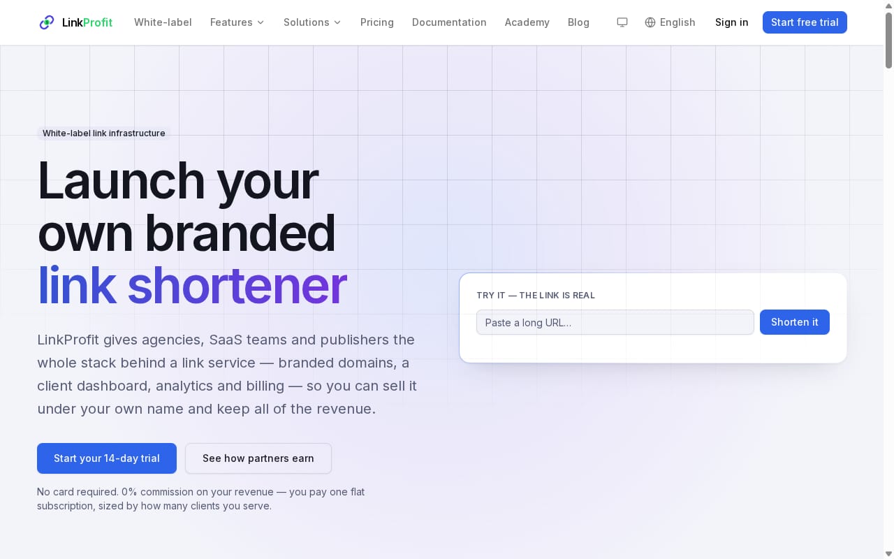 LINKPROFIT website screenshot