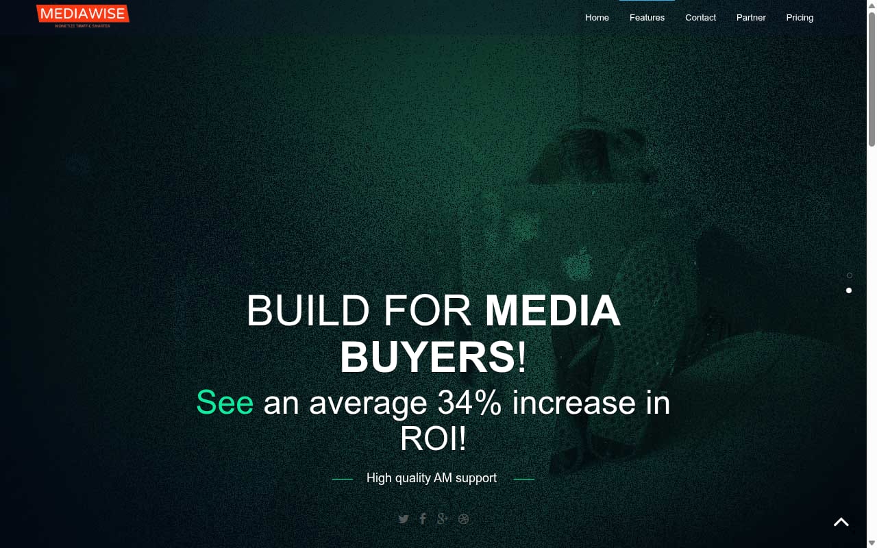 Mediawise website screenshot