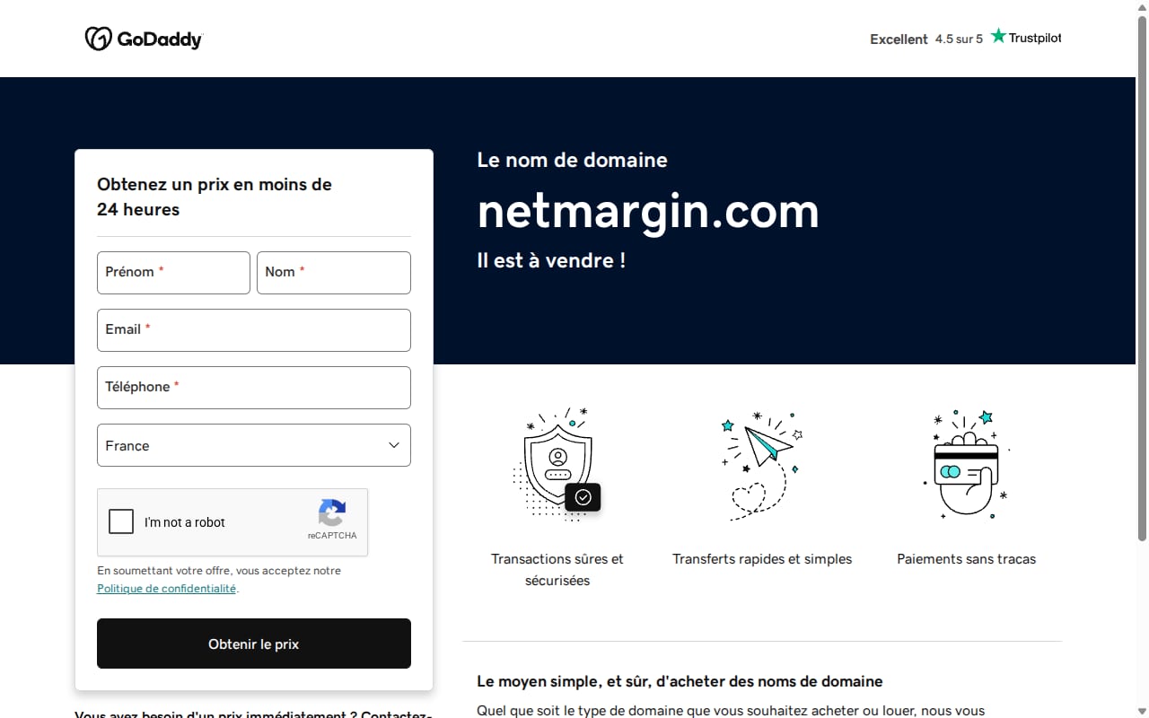 NetMargin website screenshot