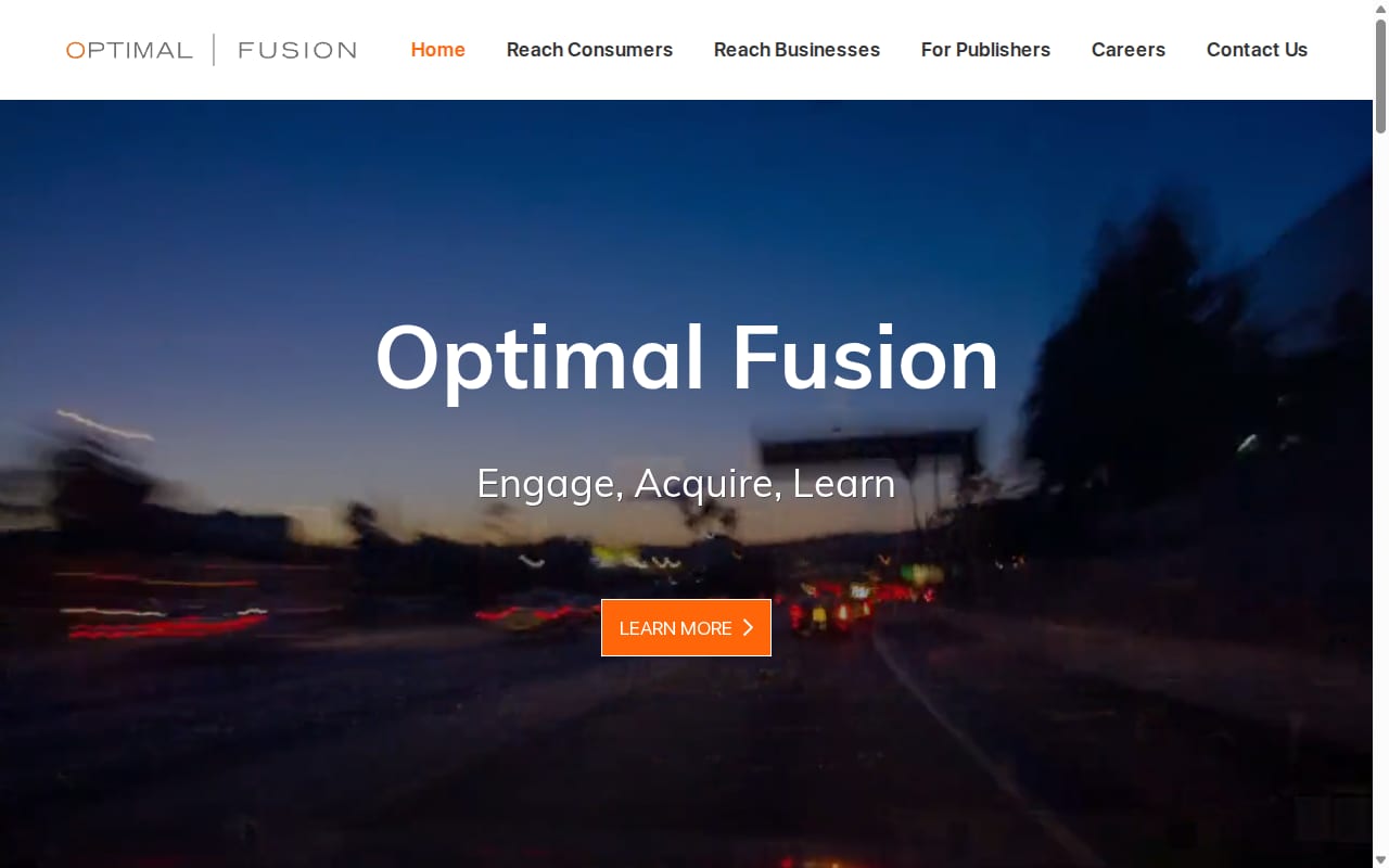 Optimal Fusion website screenshot