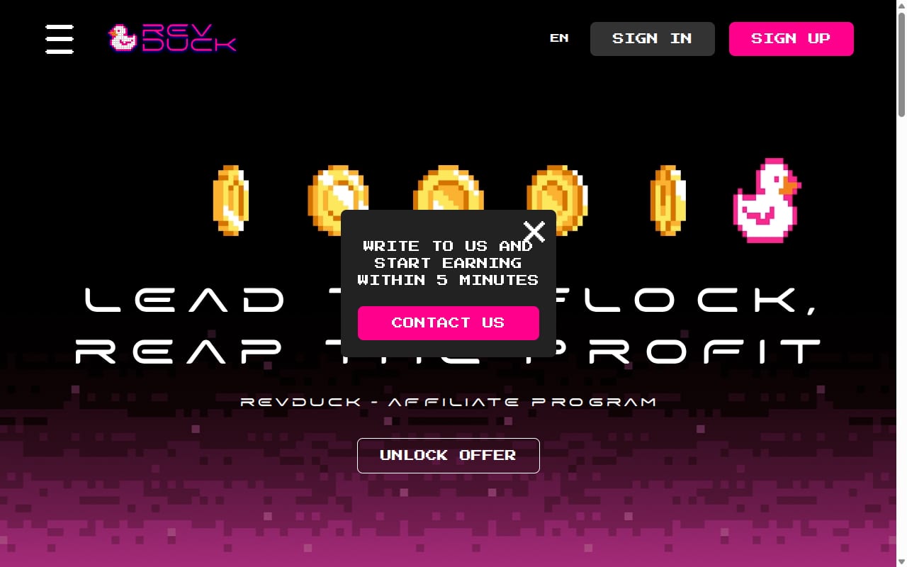 RevDuck website screenshot