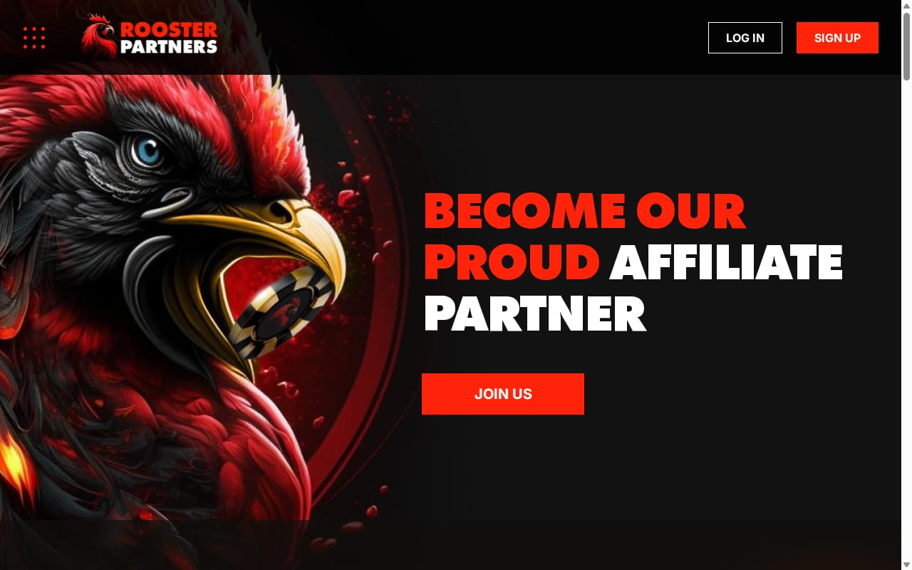 Rooster Partners website screenshot
