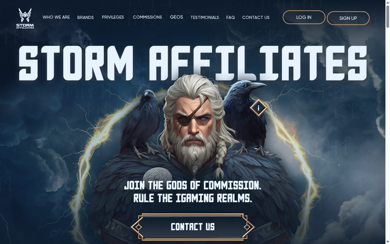 Storm Affiliates website screenshot