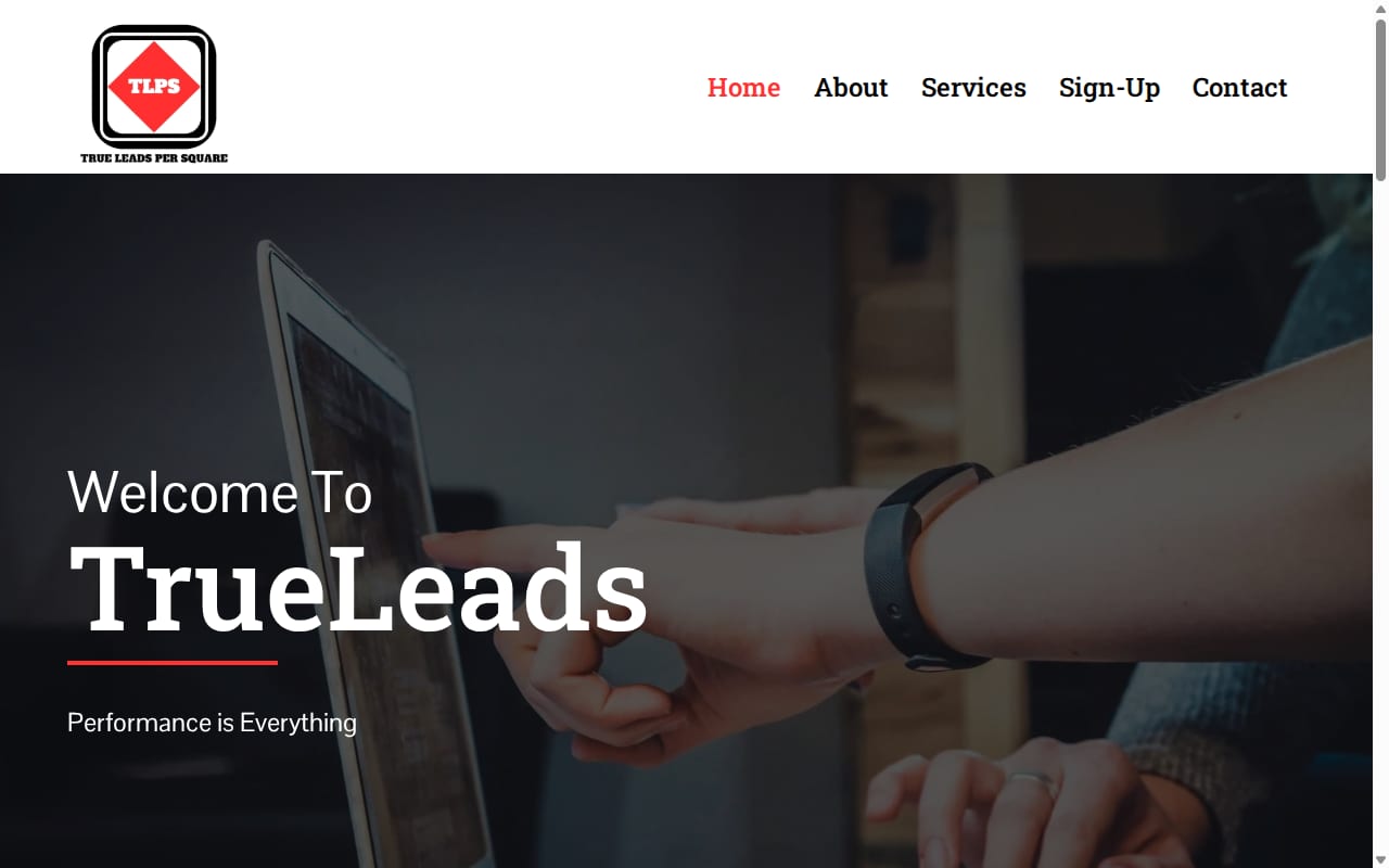 TrueLeads website screenshot