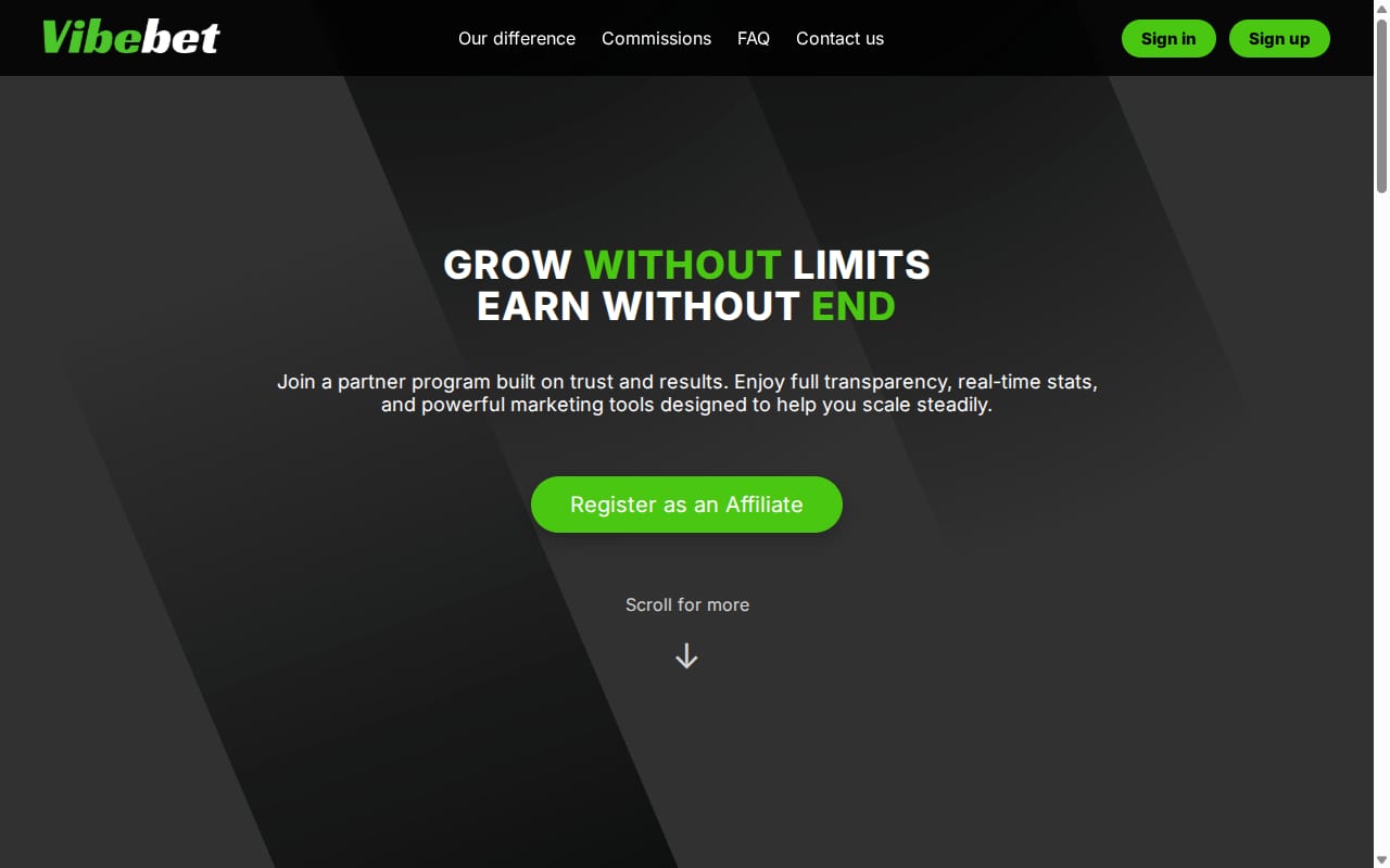 Vibes Partners website screenshot