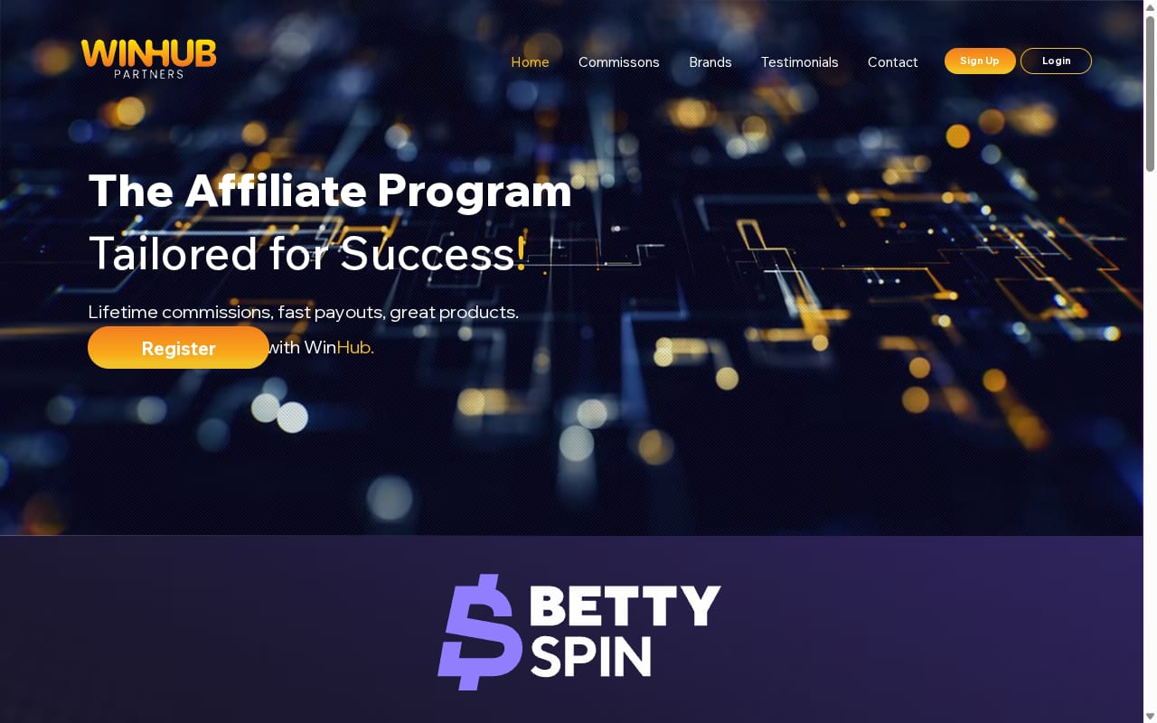 WinHub Partners website screenshot