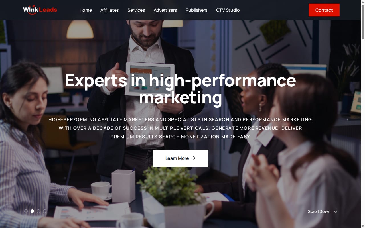 WinkLeads website screenshot