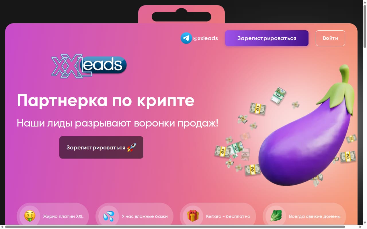 Xxleads 網站截圖