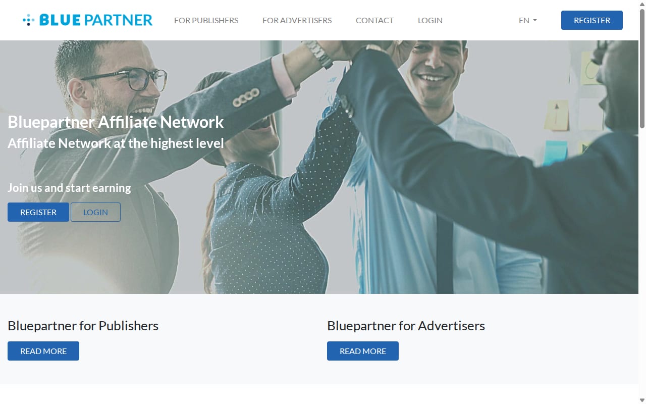 Bluepartner website screenshot