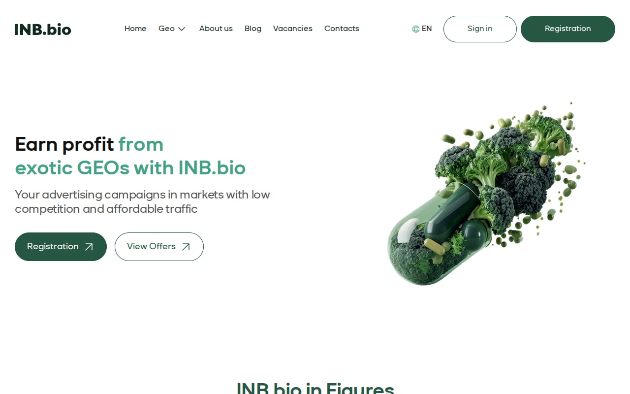 INB website screenshot