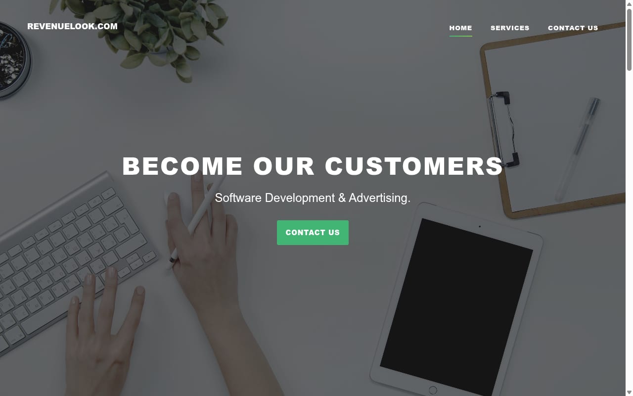 Revenue Look website screenshot