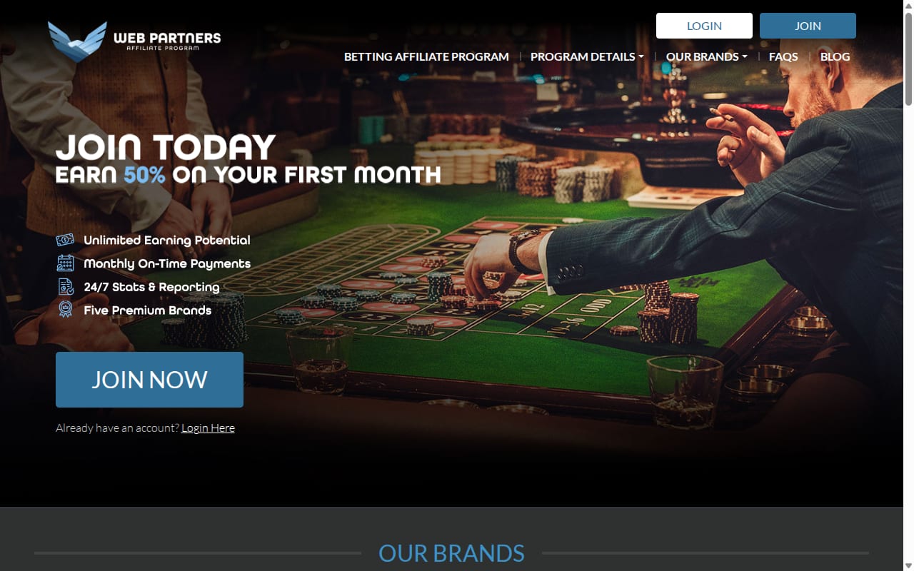 WebPartners website screenshot
