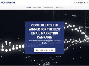 Pioneerleads logo